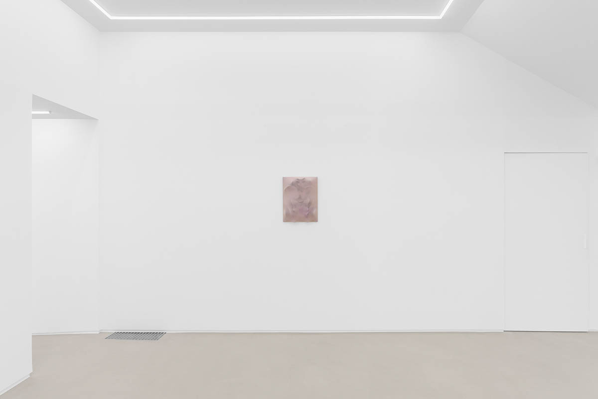 Installation views. Manon Wertenbroek – Home Auto-Psy, Lo Brutto Stahl, Paris. Courtesy of Lo Brutto Stahl