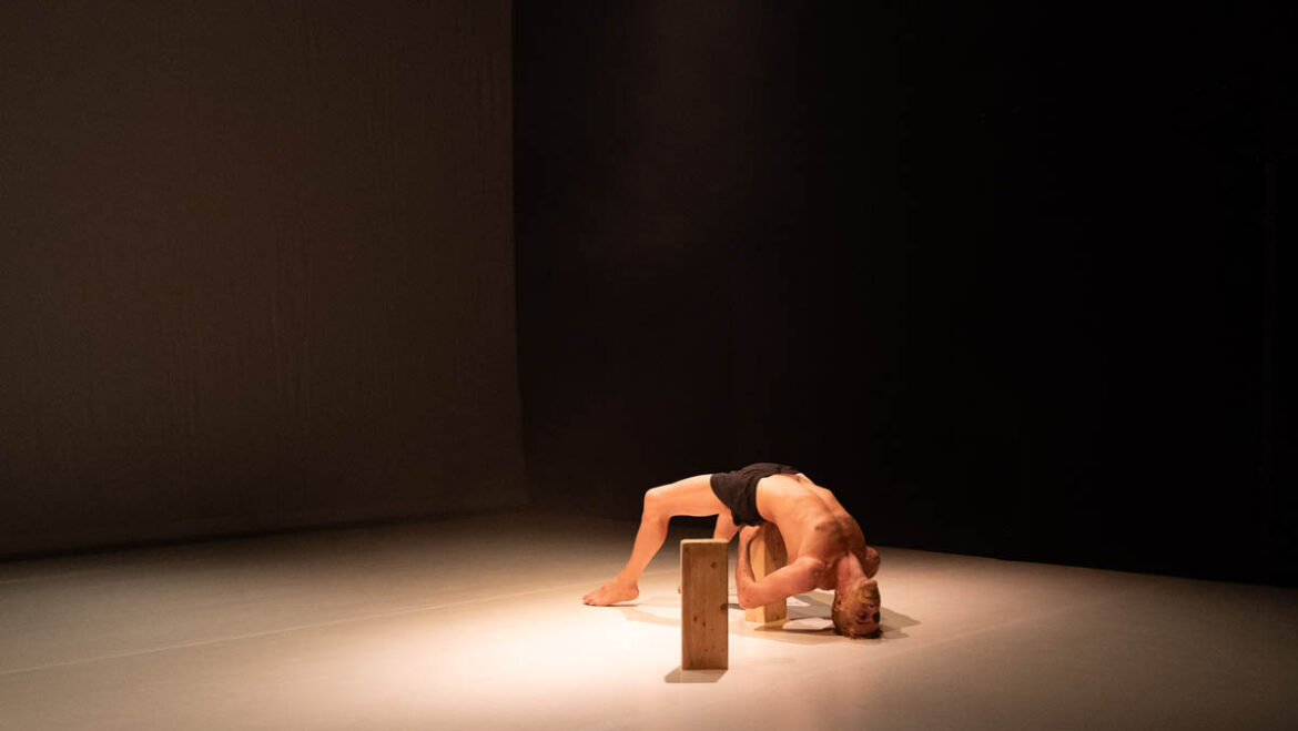 Bratislava in Movement 2024 - International Festival of Contemporary Dance