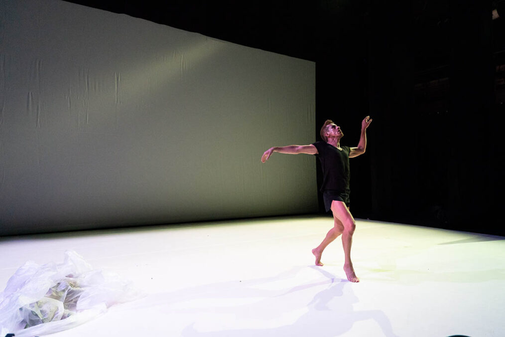 Bratislava in Movement 2024 - International Festival of Contemporary Dance