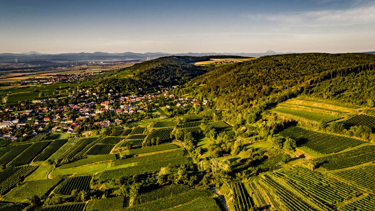 Traisental, Nussdorf Hochschopf. Foto: Robert Herbst