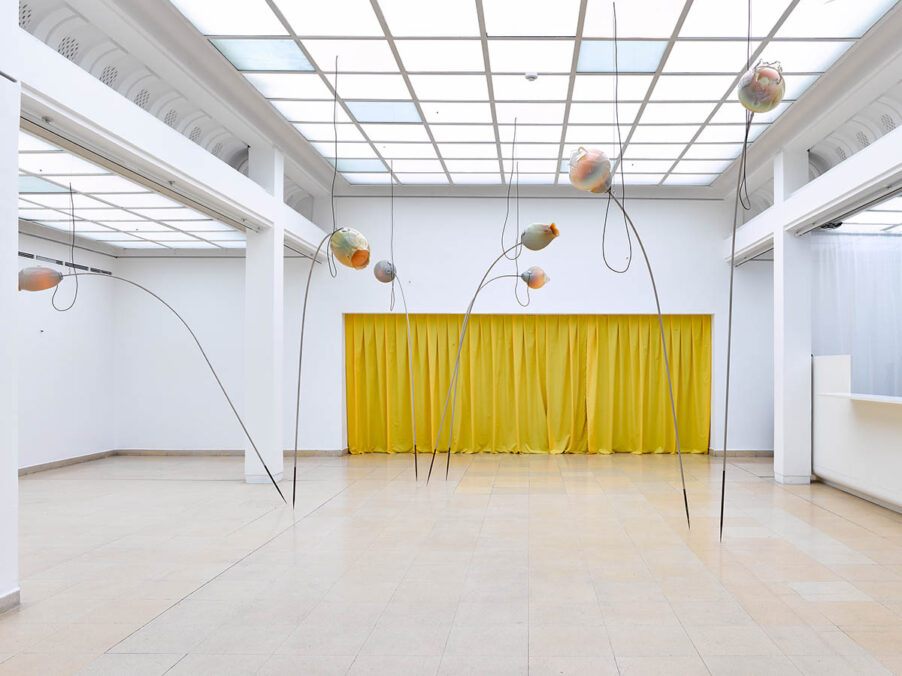 Ausstellungsansicht, Hevea Act 6: An Elastic Continuum, Bethan Hughes, Kunstpavillon 2024. Foto: WEST. Fotostudio