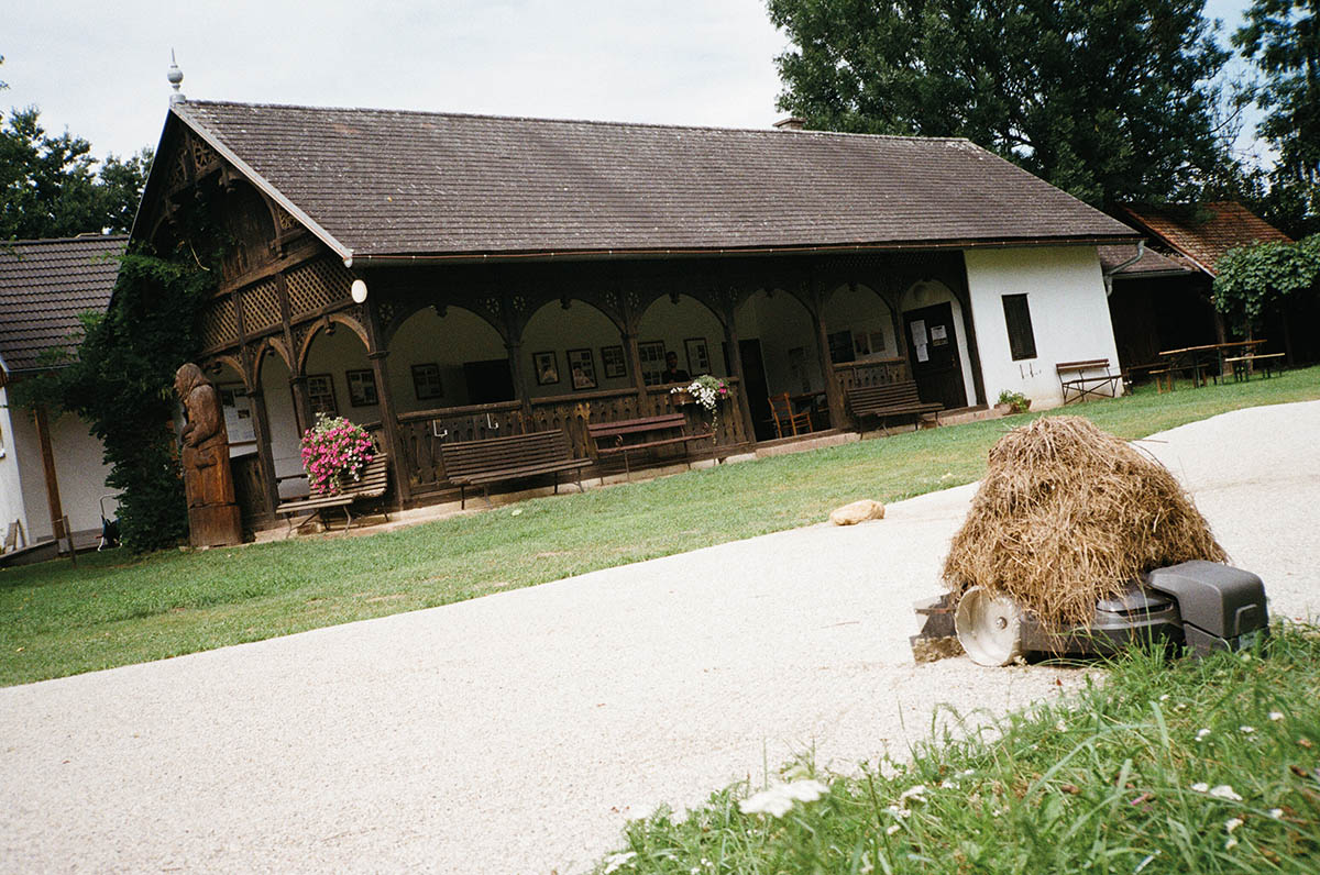 feldbach kunst lichterwaldt