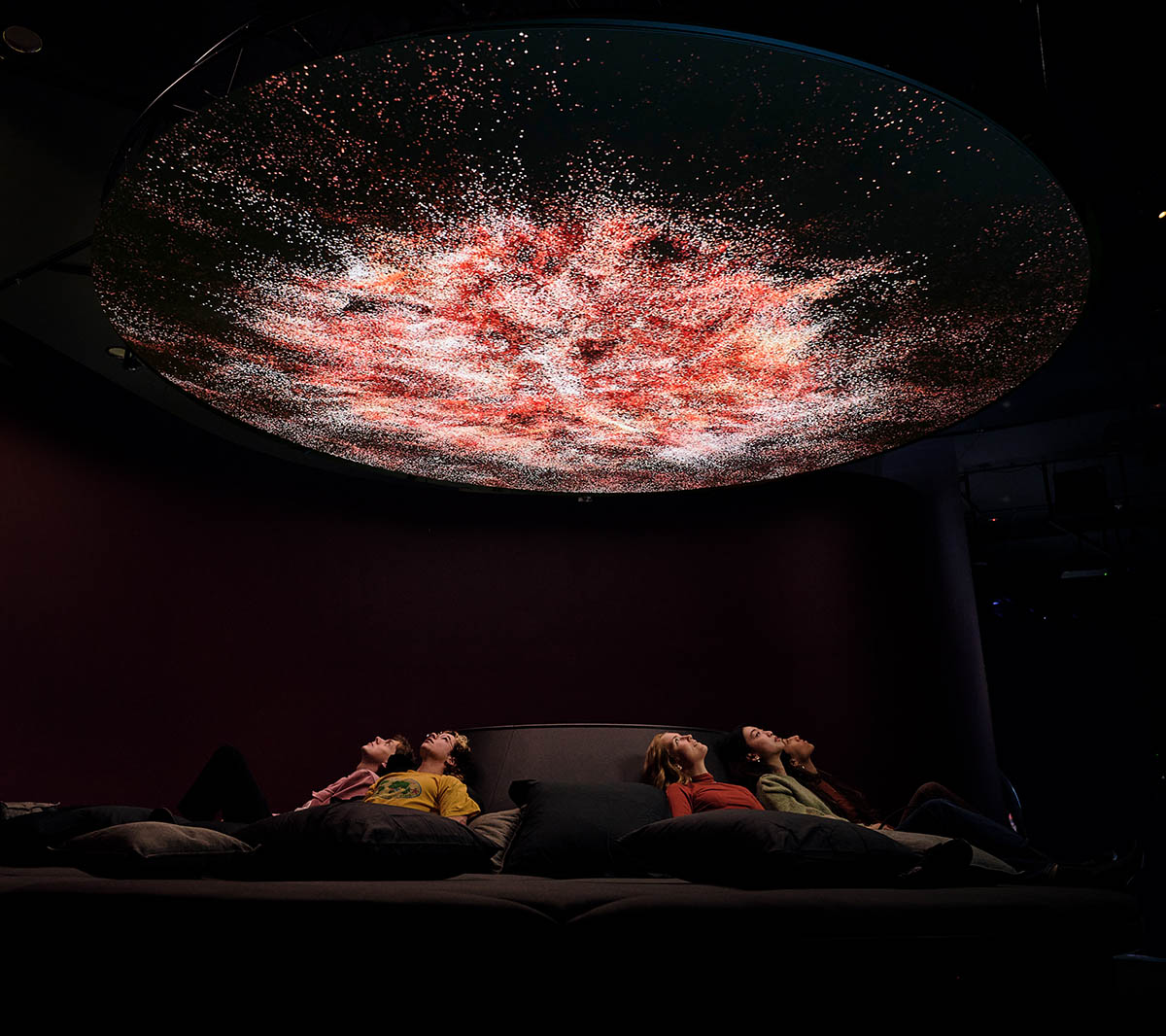 Evolver by Marshmallow Laser Feast, Works of Nature, ACMI, 2023, image by Eugene Hyland