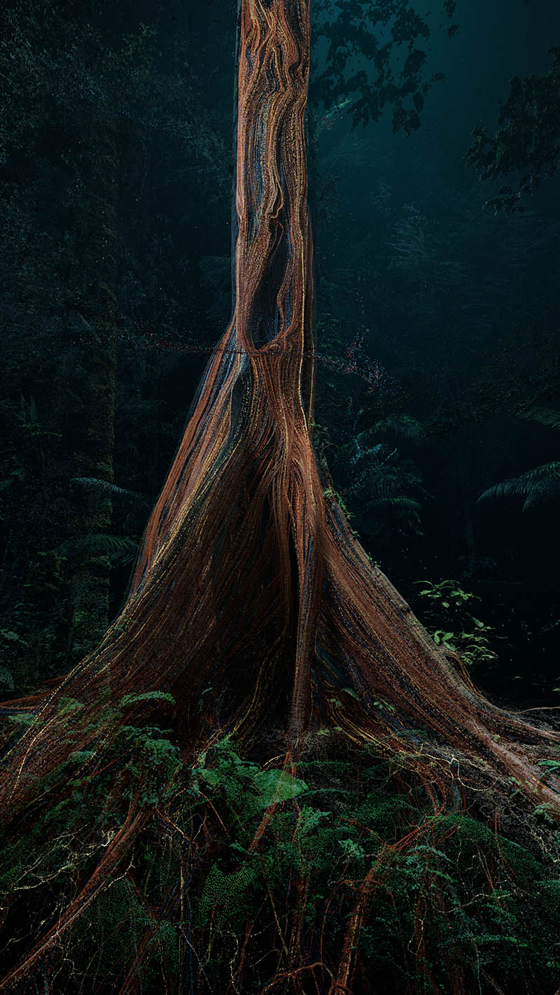 Marshmallow Laser Feast, ‘Sanctuary of the Unseen Forest’, courtesy of the artists and Sandra Ciampone.