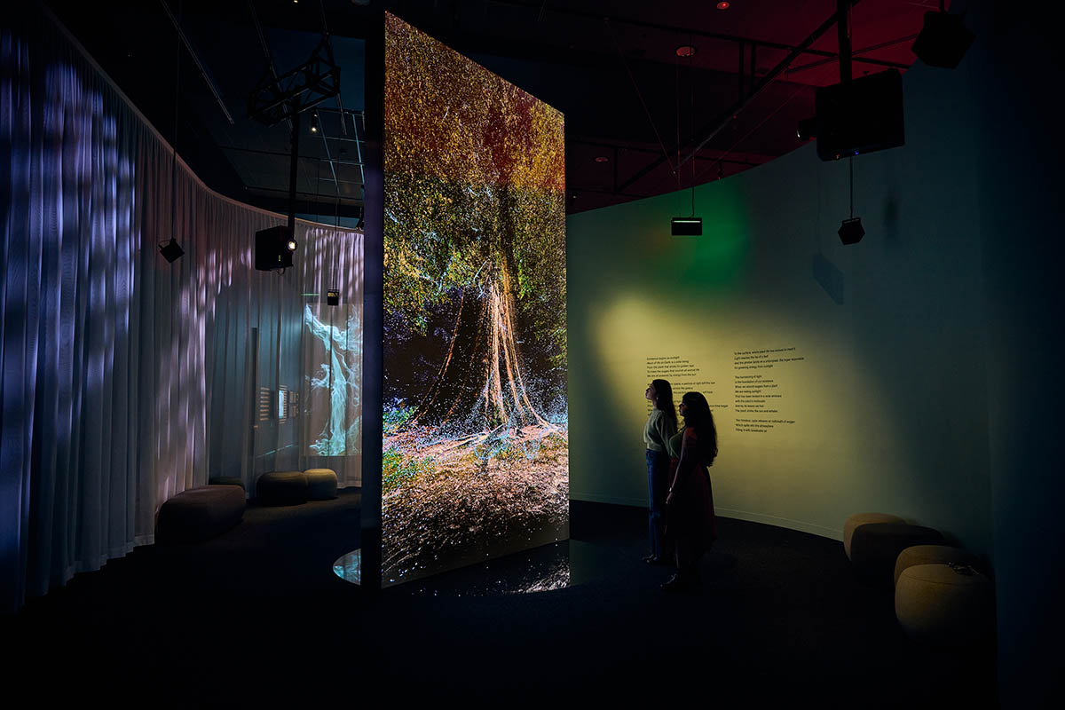 We Live in an Ocean of Air by Marshmallow Laser Feast, Works of Nature, ACMI, 2023, image by Eugene Hyland_