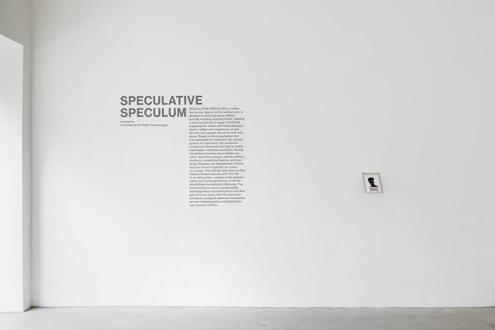 Ausstellungsansicht, SPECUALTIVE SPECULUM, Galerie Raum mit Licht, 2023. Foto: Jorit Aust