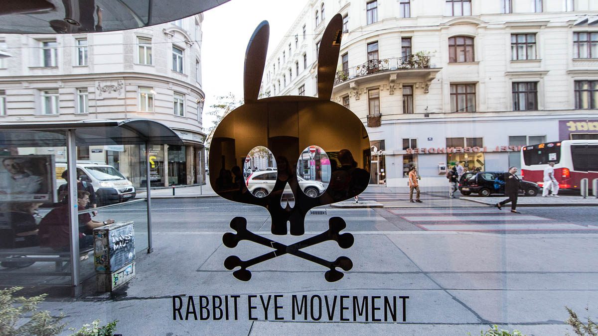 Rabbit Eye Movement