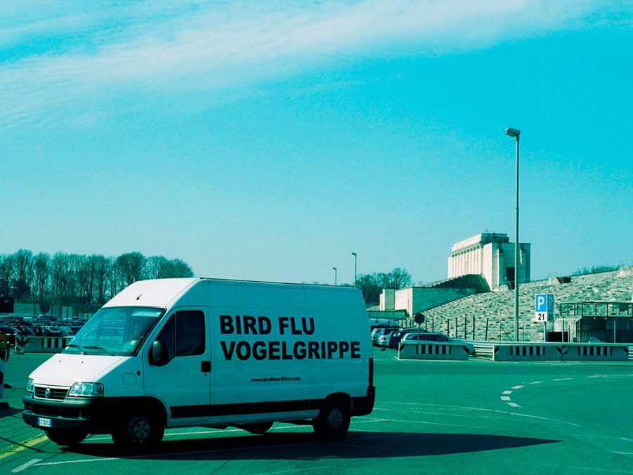 Stefano Cagol: Bird Flu / Vogelgrippe